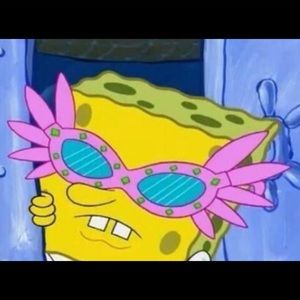 Meet your Posher, Danika